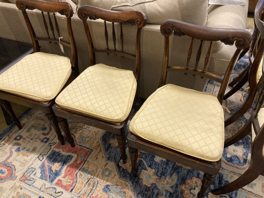 A set of six William IV rosewood cane seat dining chairs, with squab cushion seats